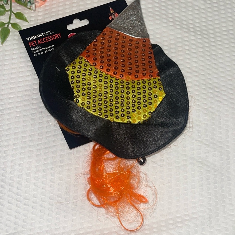 Vibrant Life Pet Accessory - Black, Orange, Yellow